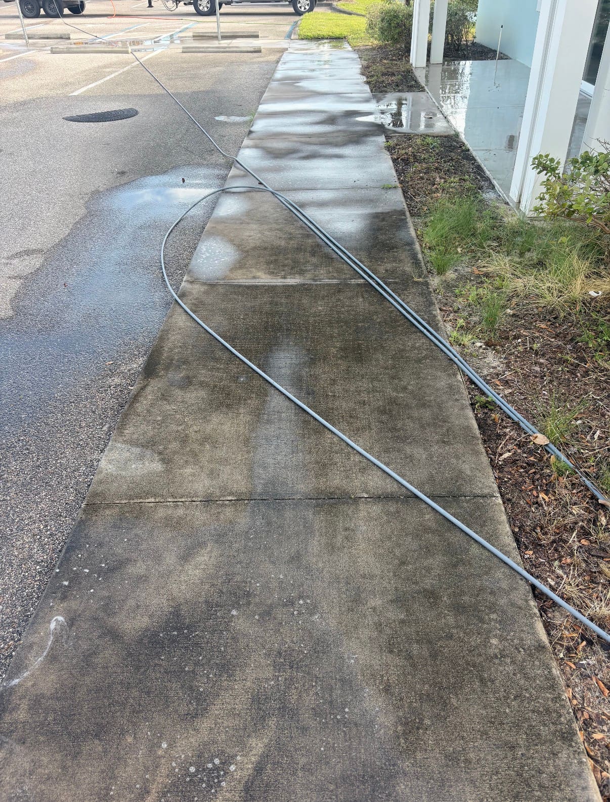 Sidewalk before pressure washing - dirt and stain buildup