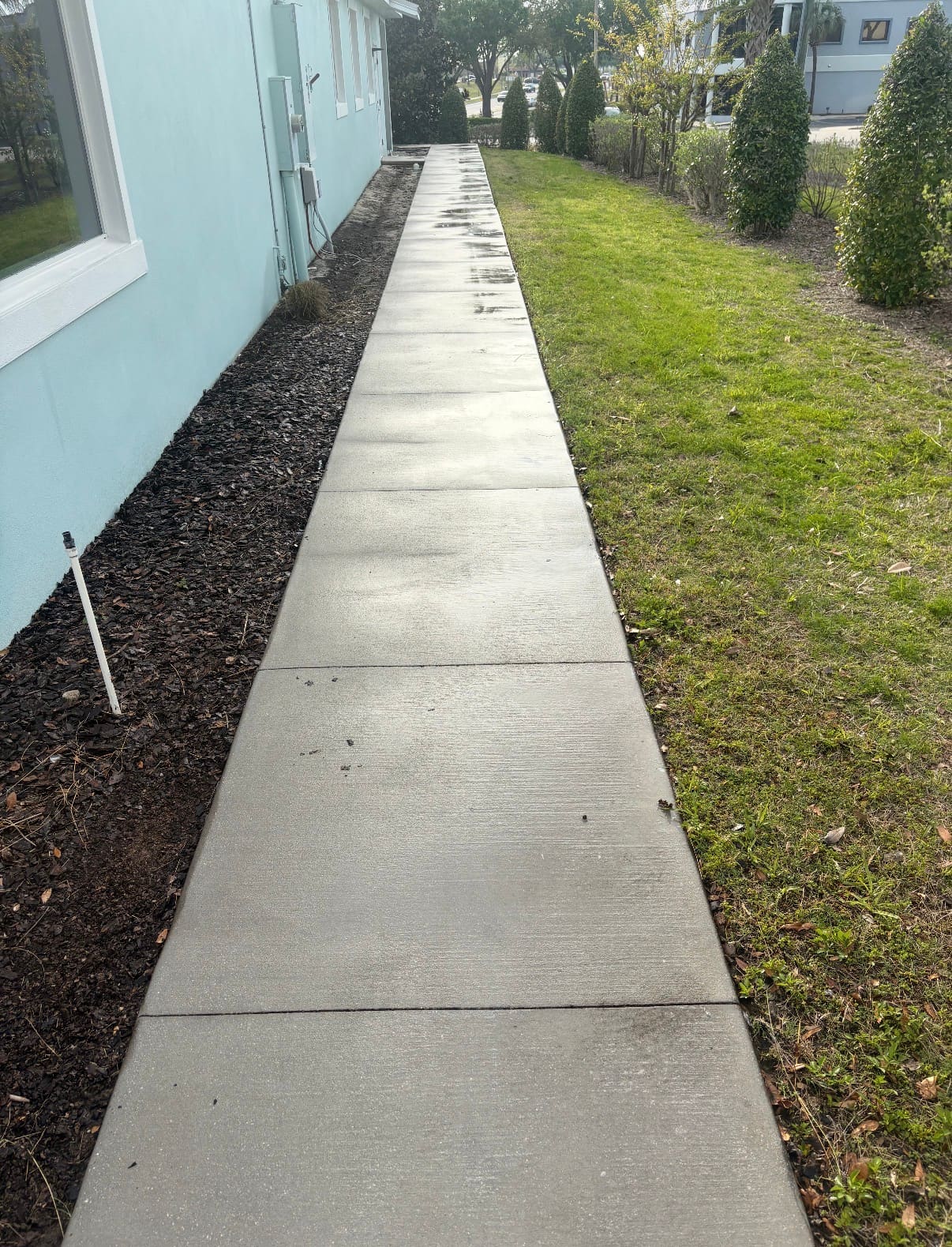 Sidewalk after pressure washing by Batterbee Roof Cleaning - clean results
